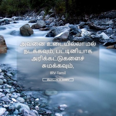 Picture 05 - யோபு 24:10 TAMIRV - அவனை உடையில்லாமல் - Bible Verse Picture