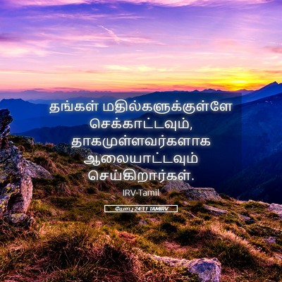 Picture 05 - யோபு 24:11 TAMIRV - தங்கள் - Bible Verse Picture
