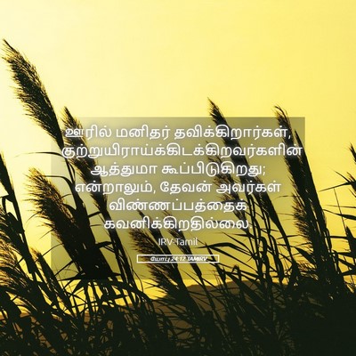 Picture 05 - யோபு 24:12 TAMIRV - ஊரில் மனிதர் - Bible Verse Picture