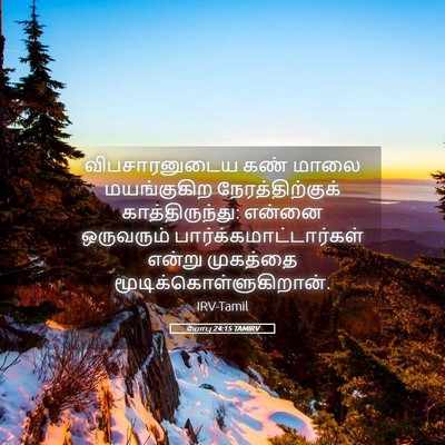 Picture 05 - யோபு 24:15 TAMIRV - விபசாரனுடைய கண் - Bible Verse Picture