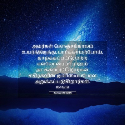 Picture 05 - யோபு 24:24 TAMIRV - அவர்கள் - Bible Verse Picture