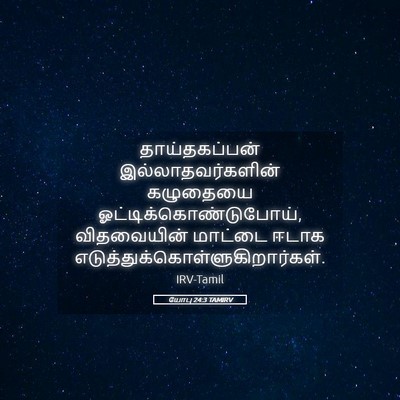 Picture 05 - யோபு 24:3 TAMIRV - தாய்தகப்பன் - Bible Verse Picture