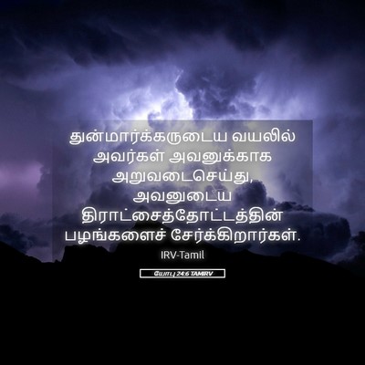 Picture 05 - யோபு 24:6 TAMIRV - துன்மார்க்கருடைய - Bible Verse Picture