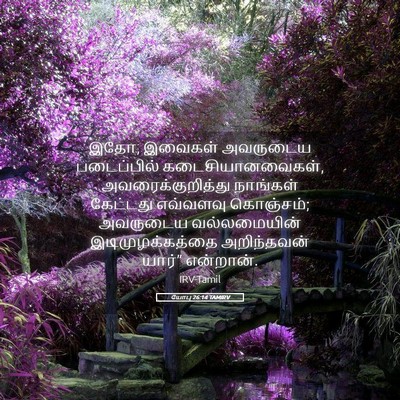 Picture 05 - யோபு 26:14 TAMIRV - இதோ, இவைகள் - Bible Verse Picture