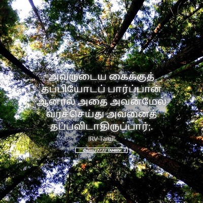 Picture 05 - யோபு 27:22 TAMIRV - அவருடைய கைக்குத் - Bible Verse Picture