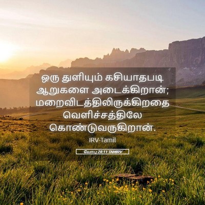 Picture 05 - யோபு 28:11 TAMIRV - ஒரு துளியும் - Bible Verse Picture