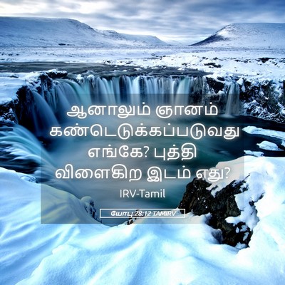 Picture 05 - யோபு 28:12 TAMIRV - ஆனாலும் ஞானம் - Bible Verse Picture
