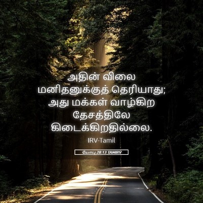 Picture 05 - யோபு 28:13 TAMIRV - அதின் விலை - Bible Verse Picture