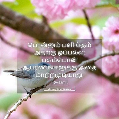Picture 05 - யோபு 28:17 TAMIRV - பொன்னும் - Bible Verse Picture