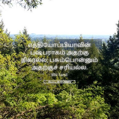 Picture 05 - யோபு 28:19 TAMIRV -  - Bible Verse Picture