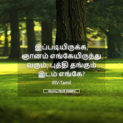 Picture 05 - யோபு 28:20 TAMIRV - இப்படியிருக்க, - Bible Verse Picture