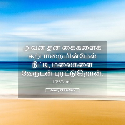 Picture 05 - யோபு 28:9 TAMIRV - அவன் தன் கைகளைக் - Bible Verse Picture