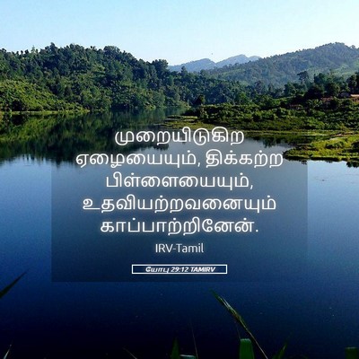 Picture 05 - யோபு 29:12 TAMIRV - முறையிடுகிற - Bible Verse Picture