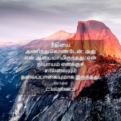 Picture 05 - யோபு 29:14 TAMIRV - நீதியை - Bible Verse Picture