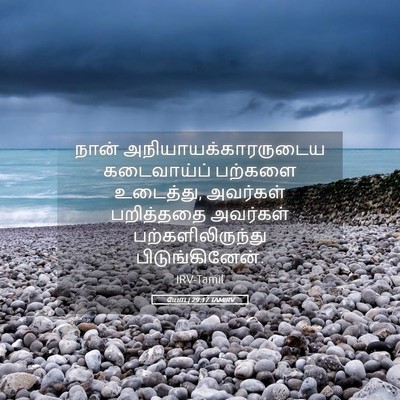 Picture 05 - யோபு 29:17 TAMIRV - நான் - Bible Verse Picture