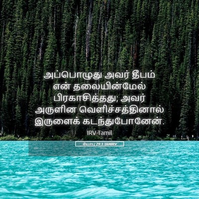 Picture 05 - யோபு 29:3 TAMIRV - அப்பொழுது அவர் - Bible Verse Picture