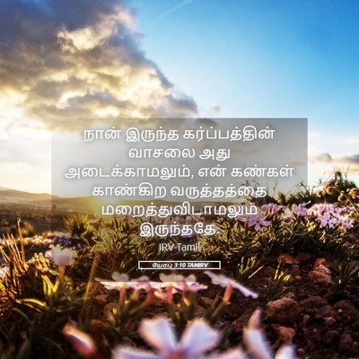 Picture 05 - யோபு 3:10 TAMIRV - நான் இருந்த - Bible Verse Picture