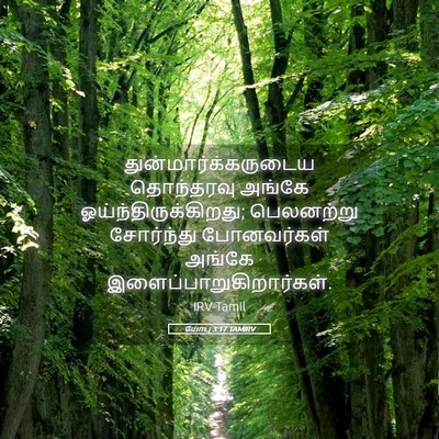 Picture 05 - யோபு 3:17 TAMIRV - துன்மார்க்கருடைய - Bible Verse Picture