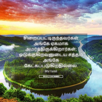 Picture 05 - யோபு 3:18 TAMIRV -  - Bible Verse Picture
