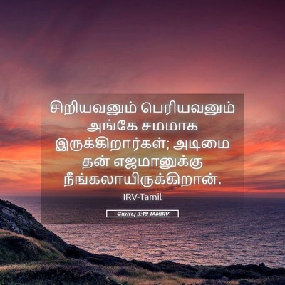 Picture 05 - யோபு 3:19 TAMIRV - சிறியவனும் - Bible Verse Picture