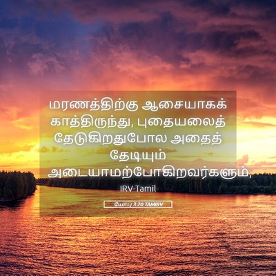 Picture 05 - யோபு 3:20 TAMIRV - மரணத்திற்கு - Bible Verse Picture