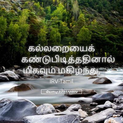 Picture 05 - யோபு 3:21 TAMIRV - கல்லறையைக் - Bible Verse Picture