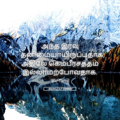 Picture 05 - யோபு 3:7 TAMIRV - அந்த இரவு - Bible Verse Picture