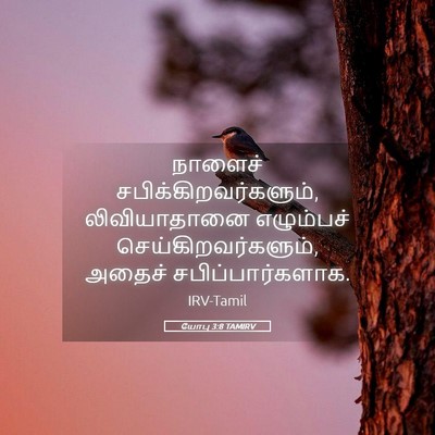 Picture 05 - யோபு 3:8 TAMIRV - நாளைச் - Bible Verse Picture
