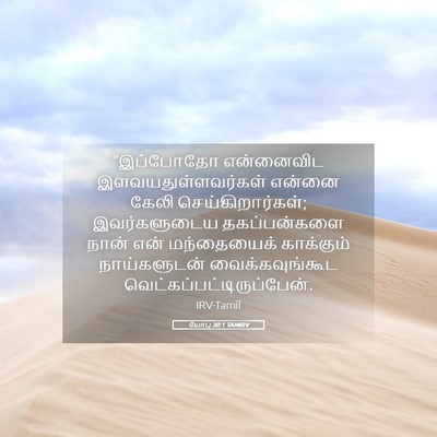 Picture 05 - யோபு 30:1 TAMIRV - “இப்போதோ என்னைவிட - Bible Verse Picture