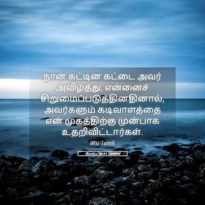 Picture 05 - யோபு 30:11 TAMIRV - நான் கட்டின கட்டை - Bible Verse Picture