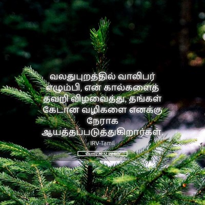 Picture 05 - யோபு 30:12 TAMIRV - வலதுபுறத்தில் - Bible Verse Picture