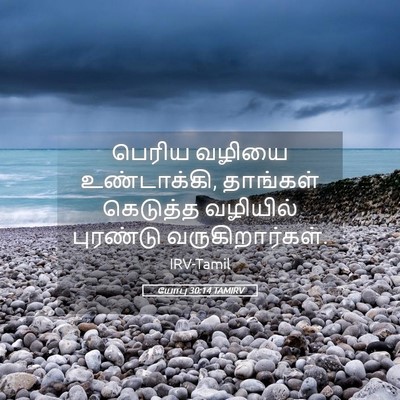 Picture 05 - யோபு 30:14 TAMIRV - பெரிய வழியை - Bible Verse Picture