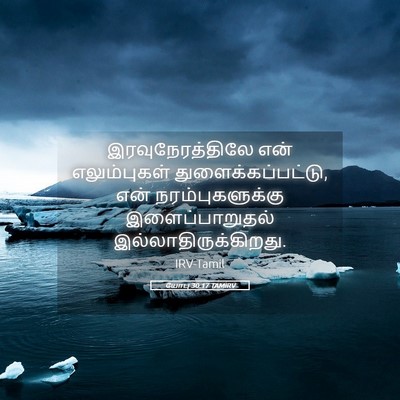 Picture 05 - யோபு 30:17 TAMIRV - இரவுநேரத்திலே என் - Bible Verse Picture