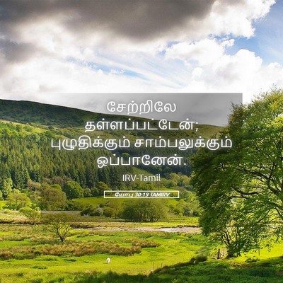 Picture 05 - யோபு 30:19 TAMIRV - சேற்றிலே - Bible Verse Picture