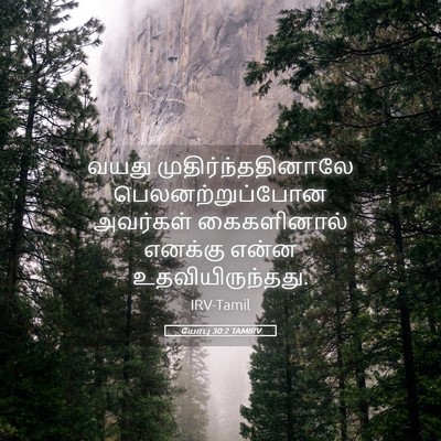 Picture 05 - யோபு 30:2 TAMIRV - வயது - Bible Verse Picture