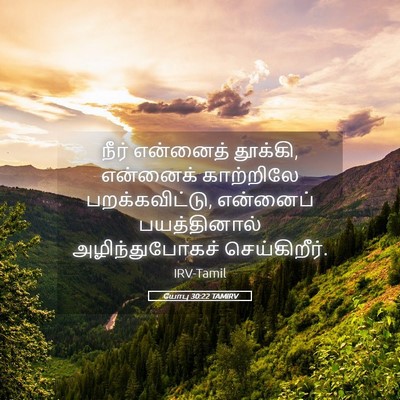 Picture 05 - யோபு 30:22 TAMIRV - நீர் என்னைத் - Bible Verse Picture