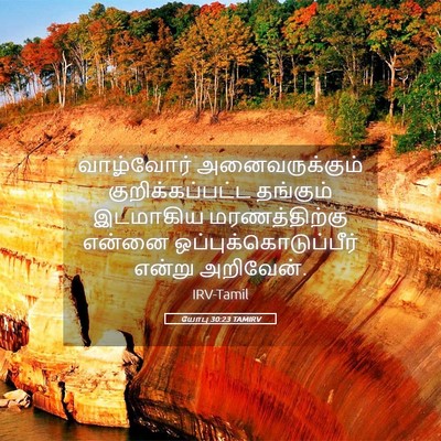 Picture 05 - யோபு 30:23 TAMIRV - வாழ்வோர் - Bible Verse Picture