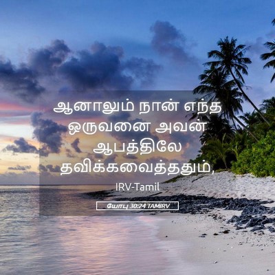 Picture 05 - யோபு 30:24 TAMIRV - ஆனாலும் நான் எந்த - Bible Verse Picture