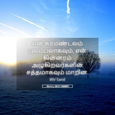 Picture 05 - யோபு 30:31 TAMIRV - என் சுரமண்டலம் - Bible Verse Picture