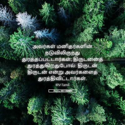 Picture 05 - யோபு 30:5 TAMIRV - அவர்கள் - Bible Verse Picture