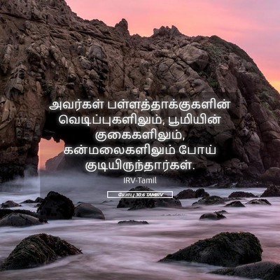 Picture 05 - யோபு 30:6 TAMIRV - அவர்கள் - Bible Verse Picture