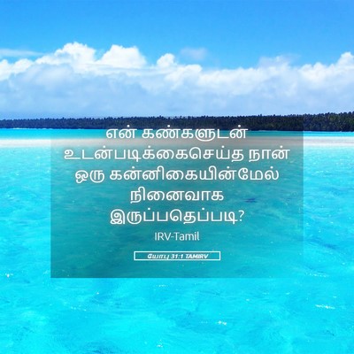 Picture 05 - யோபு 31:1 TAMIRV - என் கண்களுடன் - Bible Verse Picture