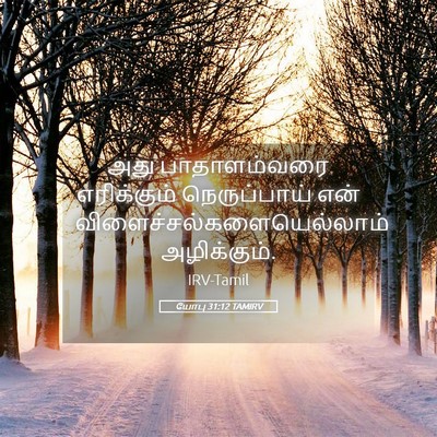 Picture 05 - யோபு 31:12 TAMIRV - அது பாதாளம்வரை - Bible Verse Picture