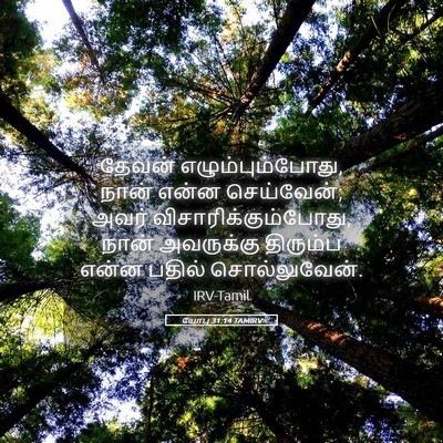 Picture 05 - யோபு 31:14 TAMIRV - தேவன் - Bible Verse Picture