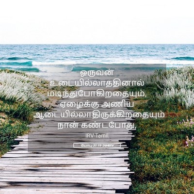 Picture 05 - யோபு 31:19 TAMIRV - ஒருவன் - Bible Verse Picture