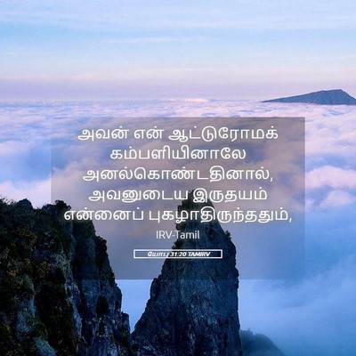 Picture 05 - யோபு 31:20 TAMIRV - அவன் என் - Bible Verse Picture
