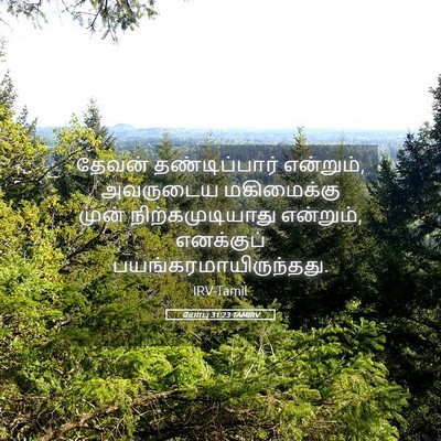 Picture 05 - யோபு 31:23 TAMIRV - தேவன் தண்டிப்பார் - Bible Verse Picture