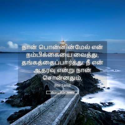 Picture 05 - யோபு 31:24 TAMIRV - நான் பொன்னின்மேல் - Bible Verse Picture