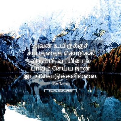 Picture 05 - யோபு 31:30 TAMIRV - அவன் உயிருக்குச் - Bible Verse Picture