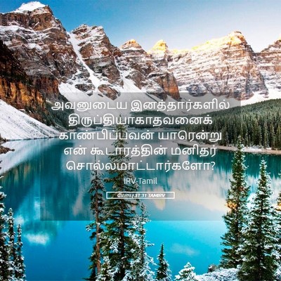 Picture 05 - யோபு 31:31 TAMIRV - அவனுடைய - Bible Verse Picture